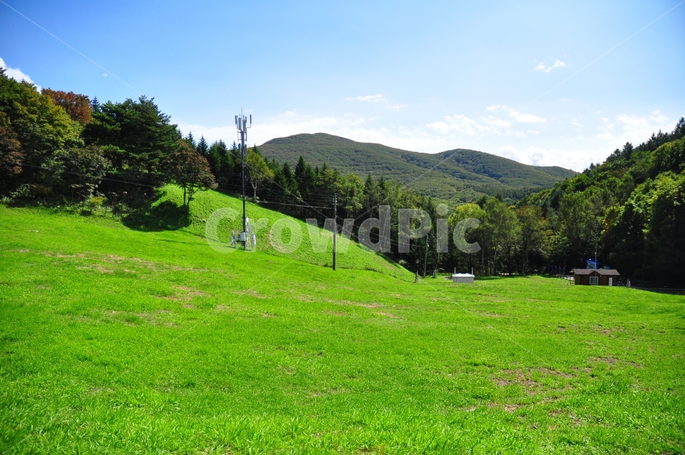 대관령,양떼목장,초원,잔디,하늘,구름,산,자연,풍경,배경,sheep,farm,grass,grassland,sky,clouds,mountain,landscape,background,자연,풍경,nature,landscape,한국자연풍경,한국자연경관,korea nature landscape,field,들,목초지,outdoors,옥외