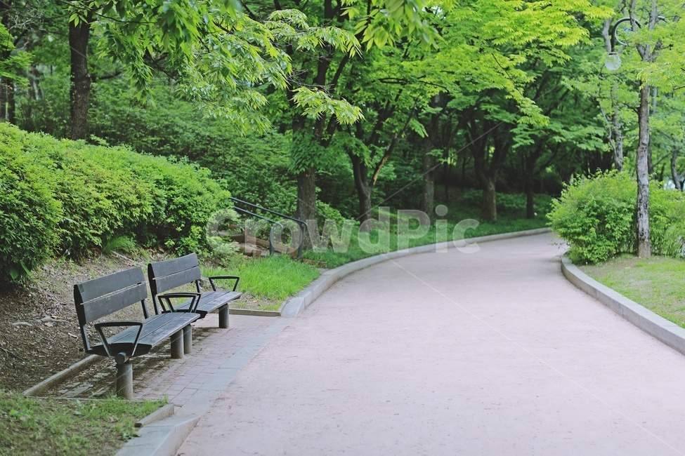 산책로,나무,공원,tree,park,trail,nature,road,길,벤치,의자,bench,자연,풍경,nature,landscape,휴식,힐링,rest,relaxation,healing