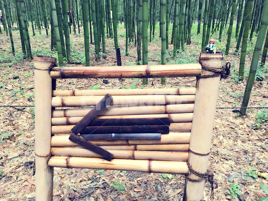 bamboo,대나무,식물,plant,화살표,arrow,방향,direction