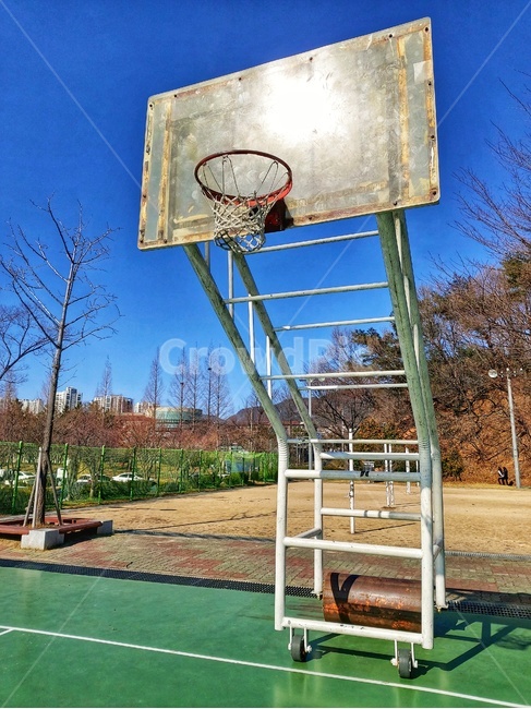 농구,농구골대,공원,나무,운동,야외,사물