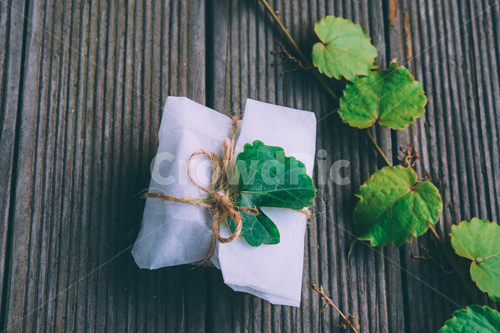 포장,선물,자연,리본,야외,여름,gift,nature,사물,수제,담쟁이덩쿨,담쟁이,초록,잎사귀,green,leaves,가을,브라운,갈색,소소,소박,식물,자연,plants,nature,기념일,축하,anniversary,congratulation,celebrate,celebration,감성,sensible,feeling