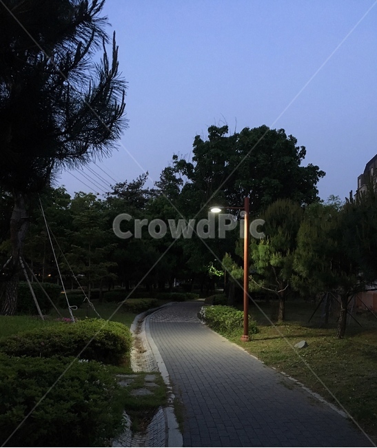 공원,산책로,저녁,가로등,길,자연,풍경,nature,landscape,야경,밤,nightscape,night