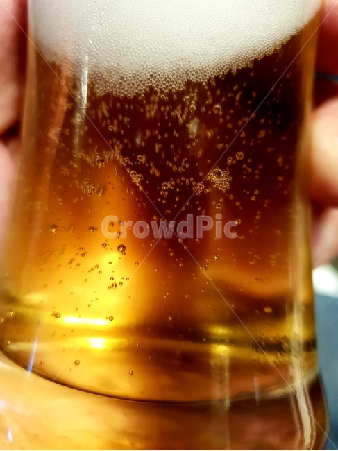 맥주,시원한,스트레스,탄산,보리,거품,술,주류,alcohol