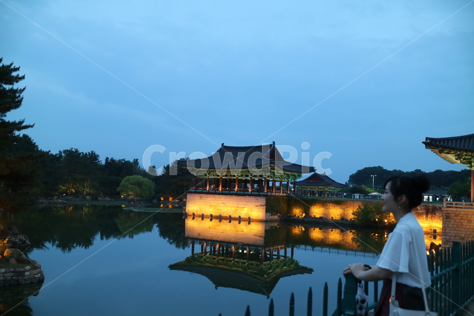 경주,안압지,동궁과월지,야경,호숫가,호수가,호수가야경,인간,human,건물,architecture,건축물,person,사람,building
