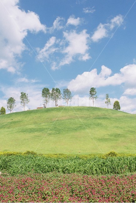 순천,정원박람회,순천만,풍경,landscape,필름,아날로그,감성,봄,계절,spring,season,자연,풍경,nature,landscape,감성,sensible,feeling,field,들,outdoors,옥외,grassland,목초지
