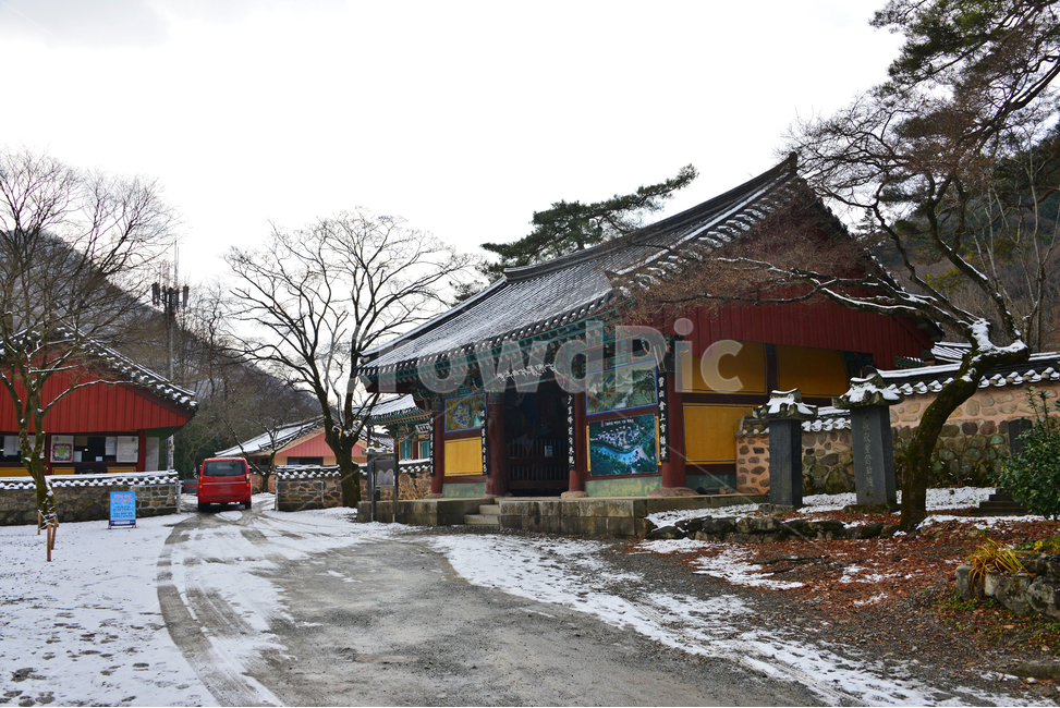 flagstone,판석,path,통로,walkway,보도,building,건물,architecture,건축물,roof,nature,자연,outdoors,옥외,장성,백양사,사찰,불교,종교,유적지,문화재,담장,돌담장,지붕