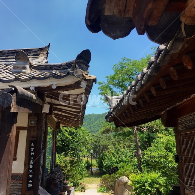 한옥,경주,고택,산,하늘,한국전통,한국문화,korean traditional,korean culture