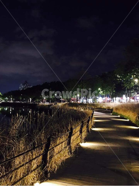 대구,수성못,연못,관광지,야경,밤,불빛,야간,고독함,감성,배경,night,빛,풍경,쓸쓸함,외로움,한국,새벽