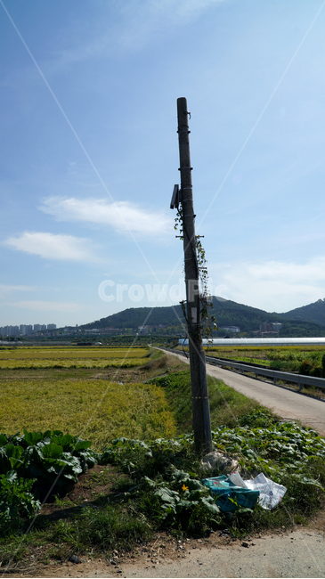 하늘,논,밭,전봇대,산,길,이정표,시골,마을,풍경,landscape,country,rural,town