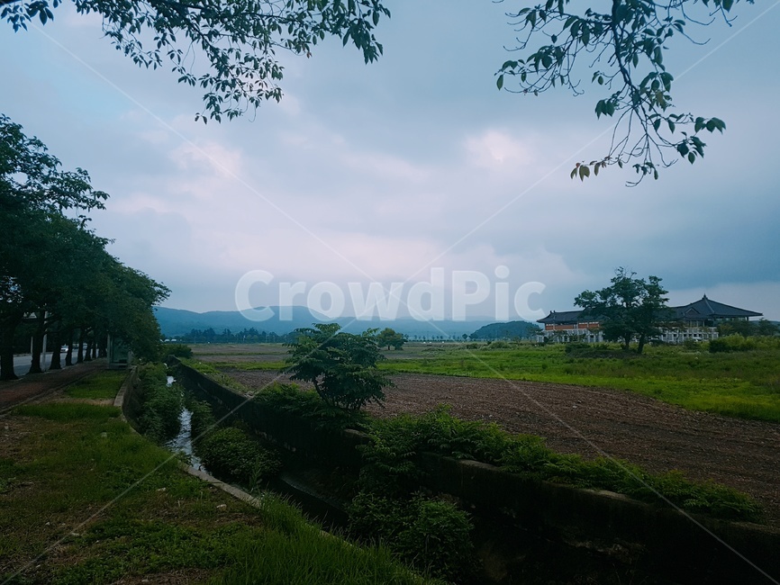 자연,자연풍경,경주풍경,한국자연,한국,들판,시골,한국시골,하늘,natre,korea,koreanature,sky,country,asia