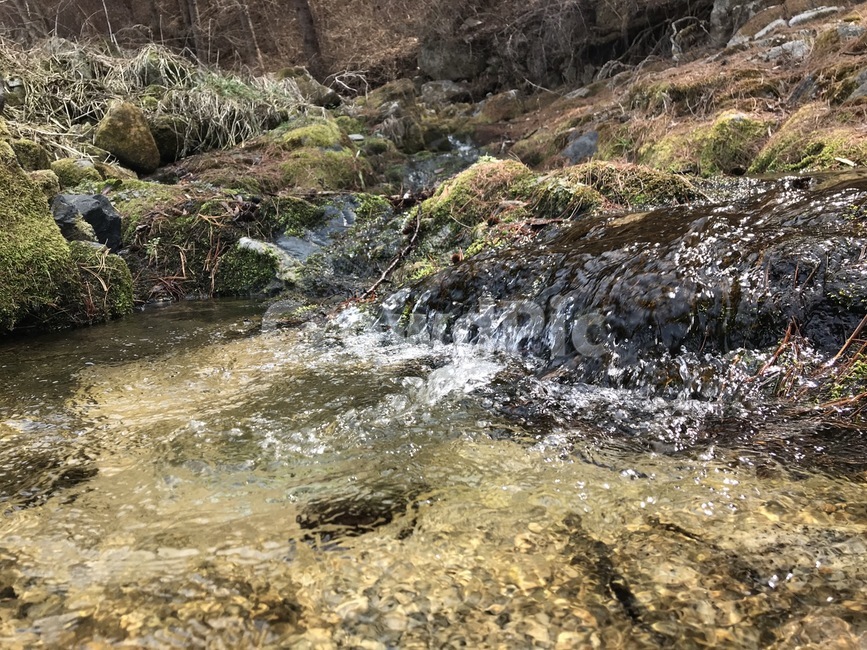 계곡,시냇물,산속,깊은산,계곡물,자연,풍경,nature,landscape,water,물,outdoors,옥외,stream,흐름,creek,작은 만