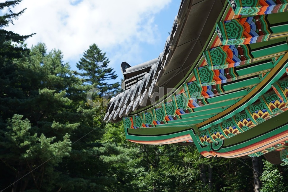 단청,기와,한옥,사찰,한국,하늘,korea,traditional,oriental,peaceful,vivid,한국전통,한국문화,korean traditional,korean culture