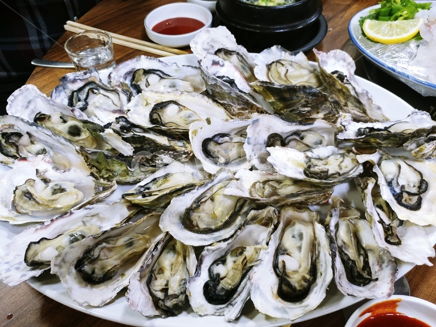 굴,신선함,술안주,석화,해산물