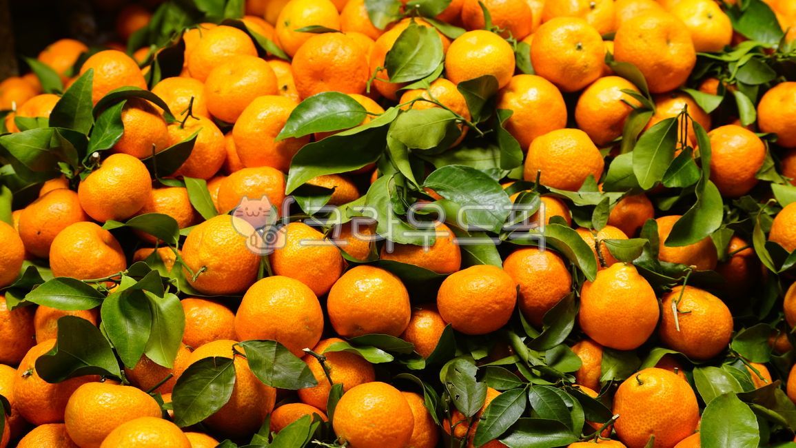 fruit,berry,fruit,kumquat,kumquat,kumquat