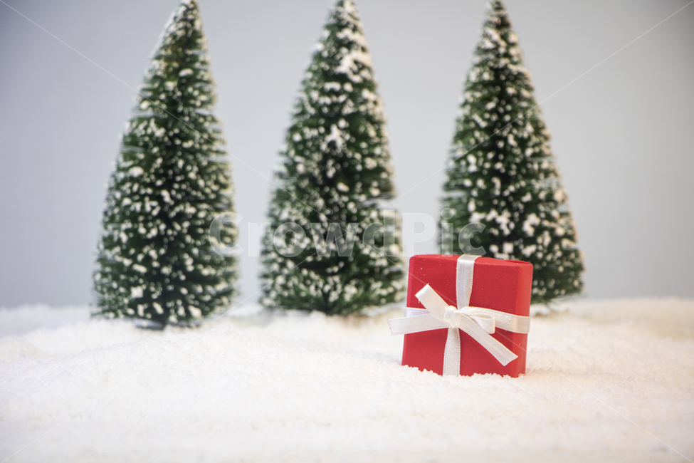 눈,선물상자,겨울,크리스마스,이벤트,프레임,tree,나무,plant,식물,크리스마스트리,christmastree,ornament,장식,겨울,계절,winter,season,메리크리스마스,성탄절,merry christmas,그래픽,일러스트레이션,graphic,illustration