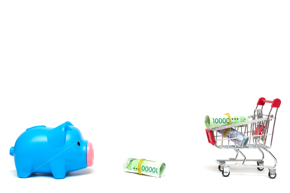 insurance,studio,original picture,directed photo,piggy bank,fee,white background,source,salary,cart,banknote,bank,assets,property,tied money,payment,savings,stock,cash,shopping,10,budget,Oriental,accumulation,single photo,bundle of money,tax,economy,savin