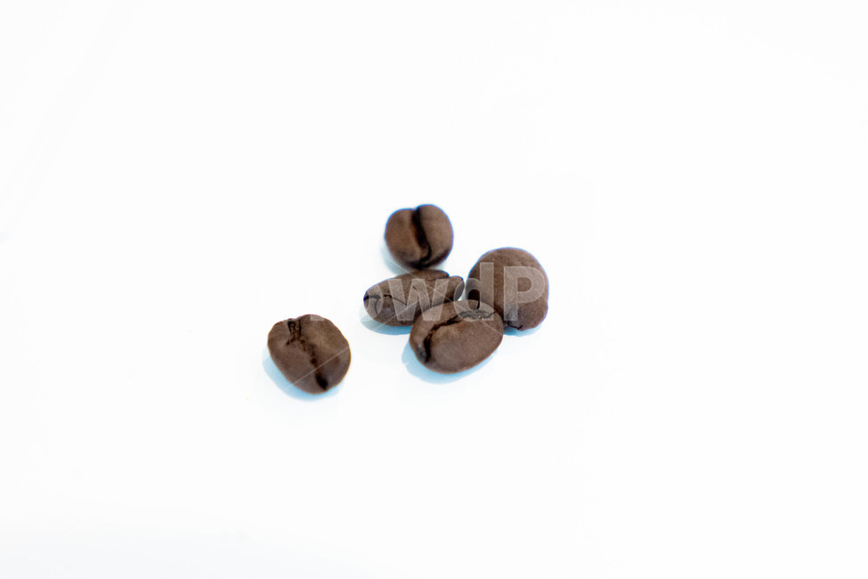 원두,생두,로스팅,커피,roasting,coffee,coffeebean,커피빈