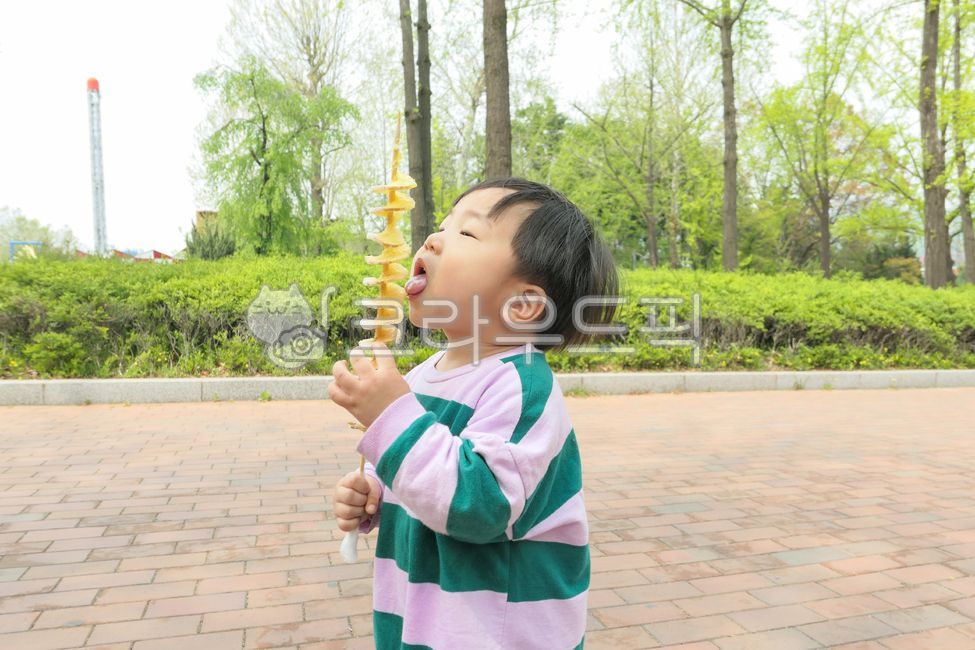 남자아이,어린이,아동,봄,풍경,경치,야외,즐거운,녹색,아이,꼬마,작은,귀여운,신난,아시안,한국인,동양인,서울,한국,꼬맹이,소풍,나들이,재밌는,어린시절,어린,사람,회오리감자,간식,길거리음식,감자,과자,사람,인물,인간,human,person