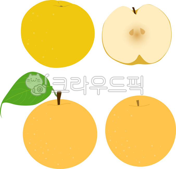 배, pear, 배일러스트, 과일, fruit, 사진,이미지,일러스트,캘리그라피 - 안갱작가