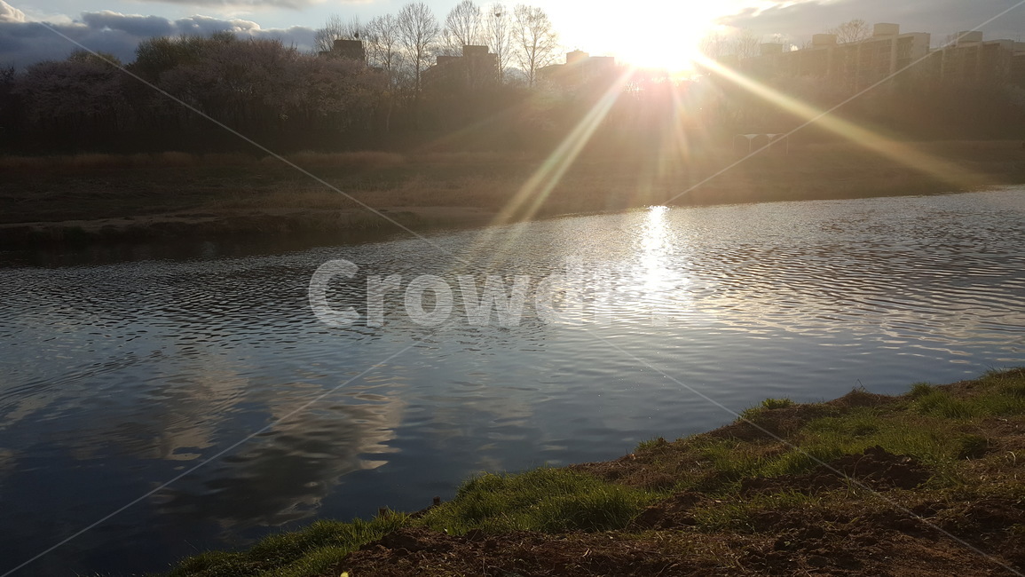 빛,물,water,자연,nature,light,강,햇빛,눈부신