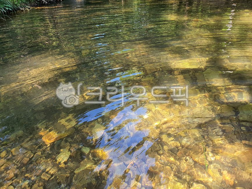 pond,forest,waterside,forest pond,nature,cool,yunseul,reflected water,cool water,water,shining pond,summer,water play,stream,flowing water,valley,sparkling water,transparent water