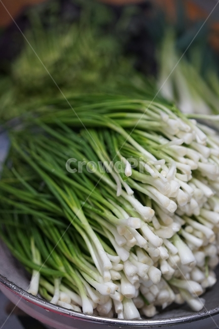 쪽파,야채,식재료,음식,한국음식,김장,음식,식재료,요리,food,cook,meal,dishes,food reserves,채소,야채,vegetables