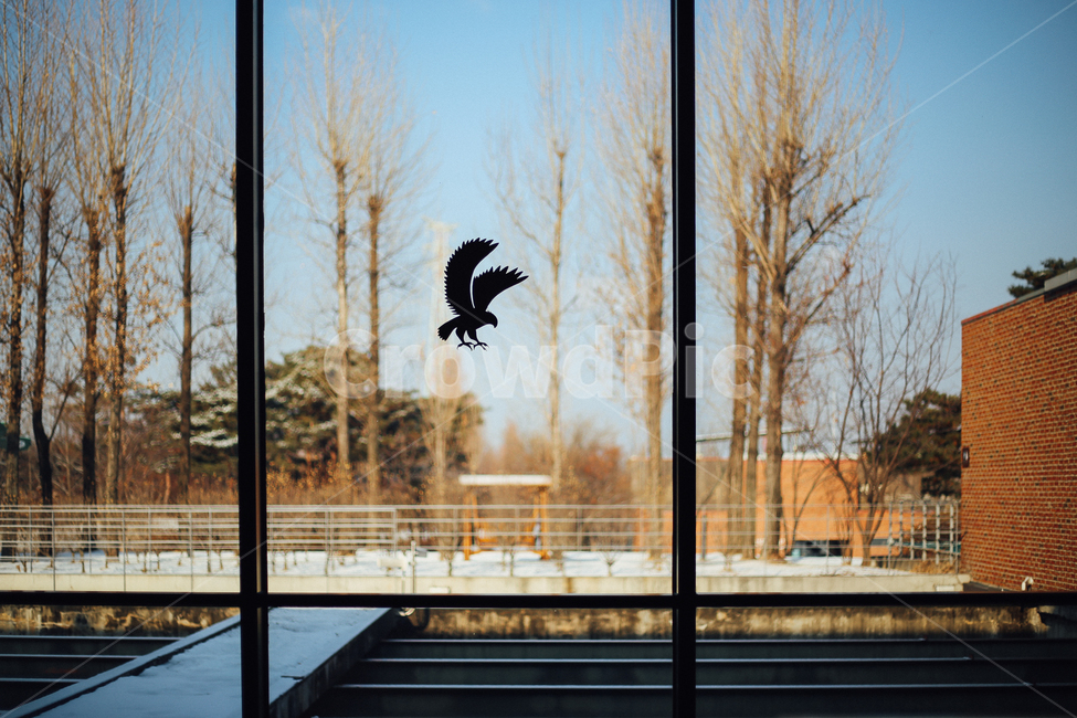 버드세이버,충돌방지,겨울풍경,창밖풍경,새,겨울,계절,winter,season,인테리어,실내디자인,interior design