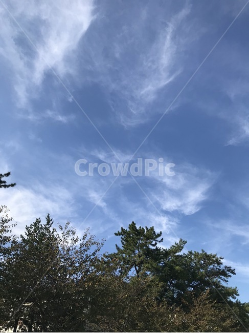 nature,자연,outdoors,옥외,weather,날씨