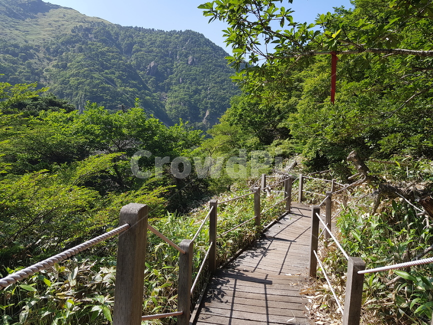 배경화면,자연풍경,경치,한라산,자연배경,등산,나무,산,등산길,제주도,한라산등산,여름,가을,하늘,자연,배경,풍경,멋진경치,nature,언덕,hill,옥외