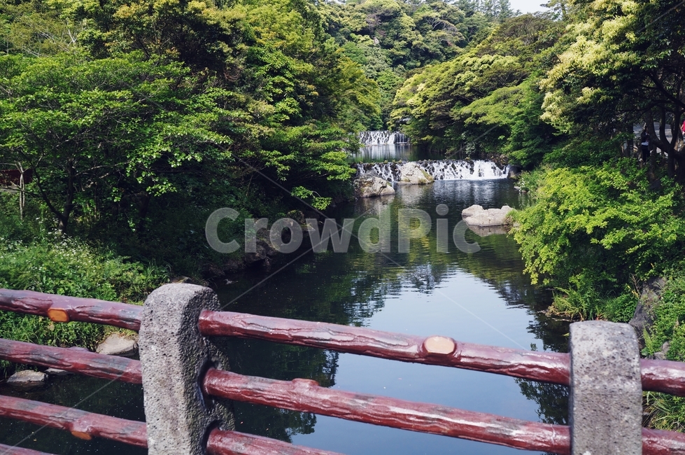 강,나무,산,폭포,다리,nature,숲,숲길,풍경,제주도,자연,풍경,nature,landscape,banister,난간,handrail,railing