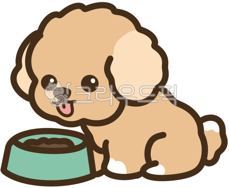 사료,밥그릇,강아지,귀여운,동물,멍멍이,산책,하네스,puppy,walk,말티즈,갈색강아지,푸들,갈색푸들,dog,animal,pet,애완동물,반려동물,멍멍,강아지의날,국제강아지의날