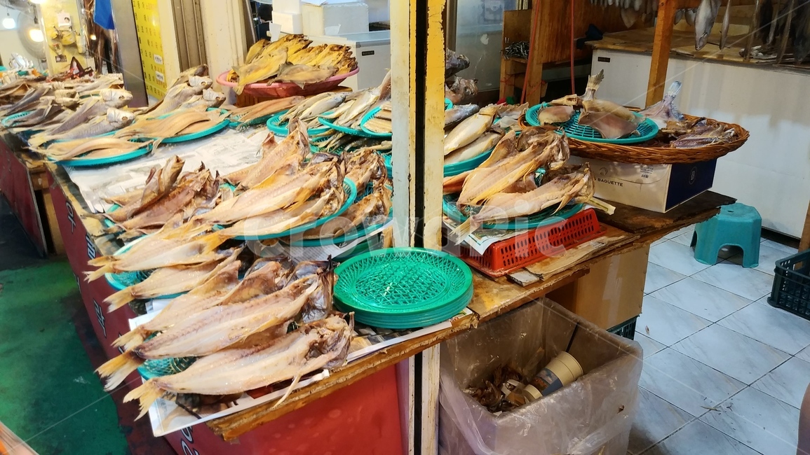 속초,재래시장,수산시장,속초재래시장,시장,건어물,건어물시장,시장,마트,마켓,market,mart,market place