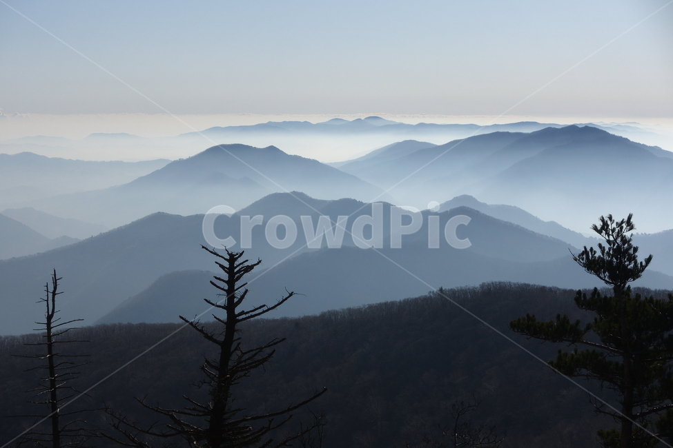 발왕산,정상,산,안개,운무,몽환적인,실루엣,자연,nature,옥외,outdoors,mountain,자연,풍경,nature,landscape
