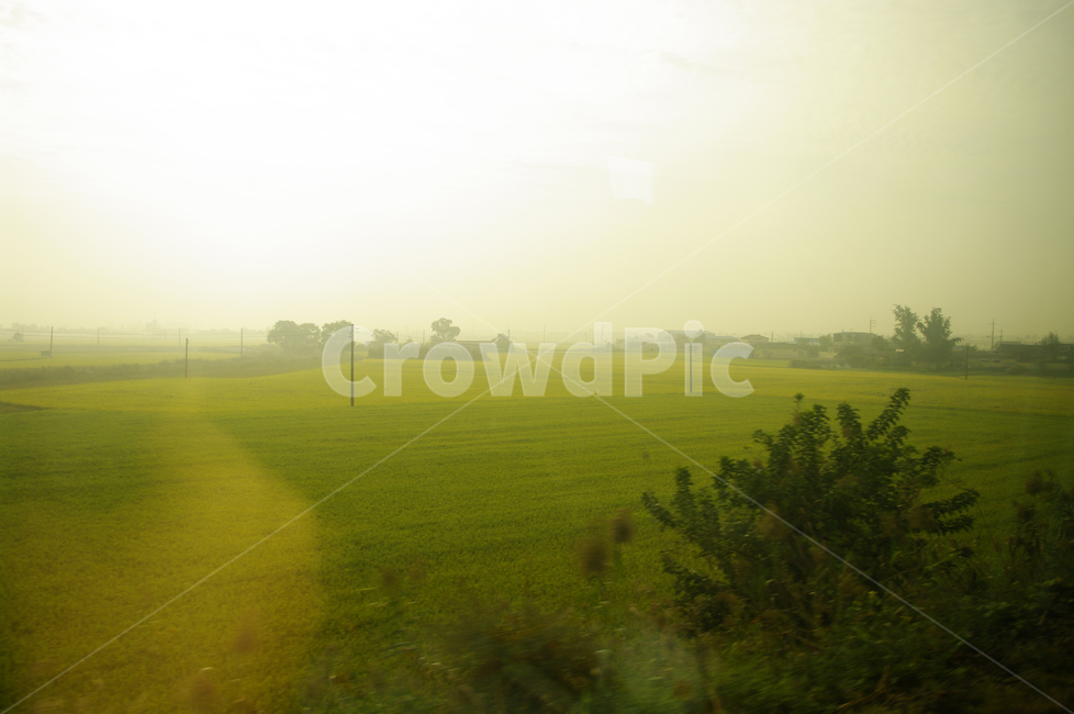창,풍경,하늘,밭,논,자연,풍경,nature,landscape,field,들,grassland,목초지,outdoors,옥외