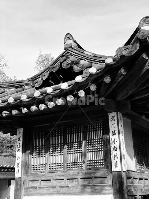 흑백,궁궐,기와,한옥,창덕궁,창덕궁후원,한국전통,한국문화,korean traditional,korean culture,흑백,모노톤,monochrome,black and white,건축물,건물외관,exterior,building,structure,architecture,construction