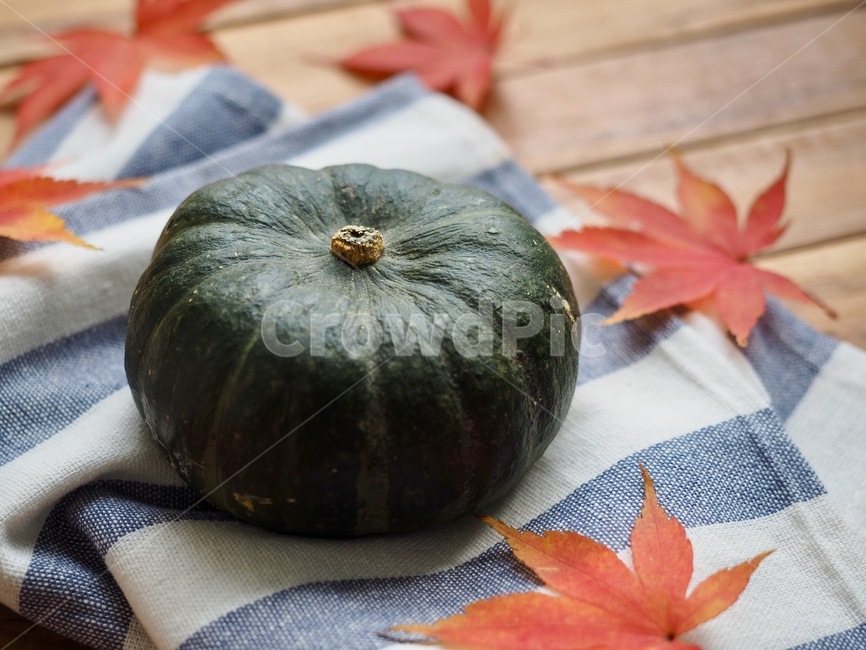 단호박,호박,단풍잎,잎사귀,가을,채소,유기농,음식,음식재료,웰빙,배경,sweetpumpkin,pumpkin,mapleleaf,leaf,autumn,vegetable,organic,food,foodingredients,wellbeing,background,가을,계절,fall,autumn,season,음식,식재료,요리,food,cook,meal,dishes,food reserves,채소,야채,vegetables,잎,plant,식물