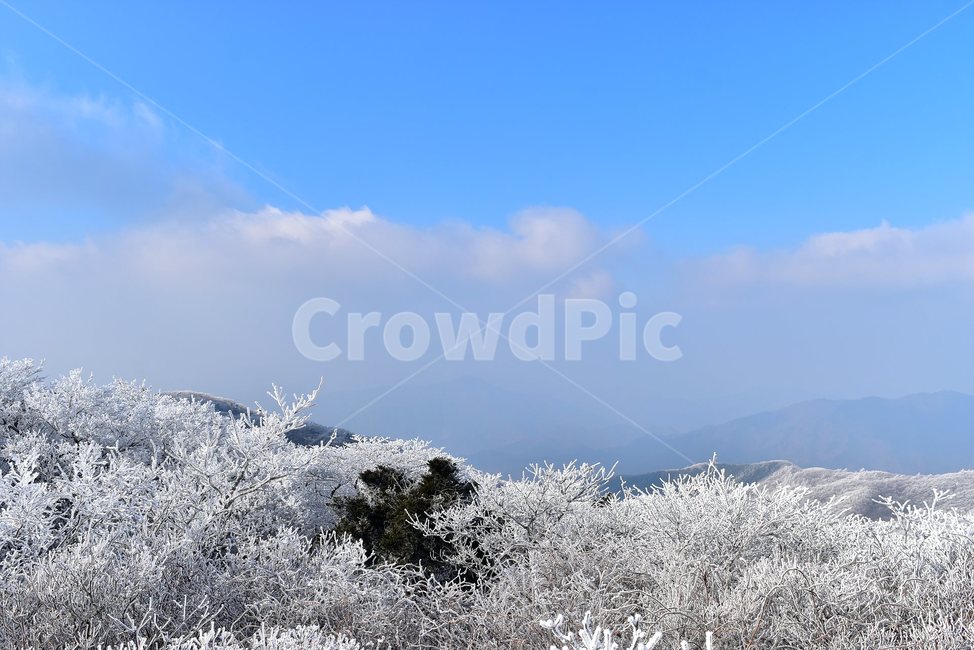 소백산,눈꽃풍경,상고대,겨울풍경,국립공원,겨울동화,힐링,감성,아름다움,뷰티풀,설국,눈풍경,파란하늘,100대명산,겨울명산,설경,서리꽃,snow,landscape,눈,화이트,자연,신비로운,경이로운,천상,비경,치유,산,명산,자연풍경,늦가을,영주,단양,풍기,희방사,삼가리,비로봉,연화봉,겨울,계절,winter,season,자연,풍경,nature,landscape,한국자연풍경,한국자연경관,korea nature landscape,ice,얼음,outdoors,옥외