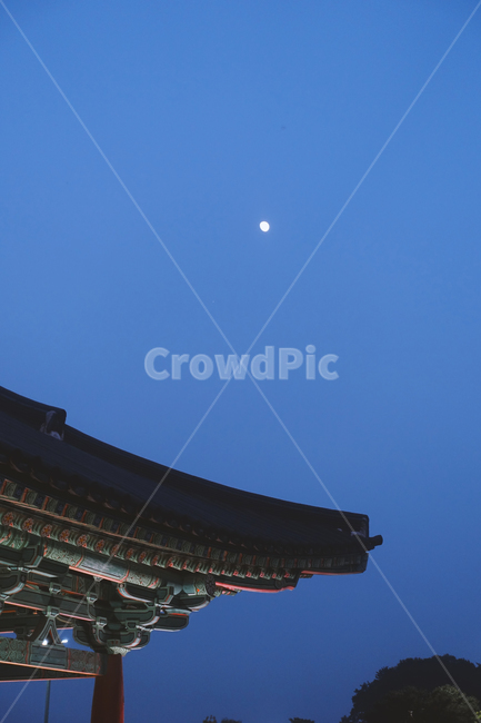 안압지,동궁과월지,신라,신라시대,신라건축물,야경,건축미,한국미,전통미,궁궐터,궁궐,신라궁궐,경주,야경,밤,풍경,nightscape,night,landscape,한국전통,한국문화,korean traditional,korean culture,랜드마크,landmark,tourist attraction,한국랜드마크,한국관광지,한국명소,korea landmark,korea tourist attraction,건축물,건물외관,exterior,building,structure,architecture,construction,건물,worship,예배