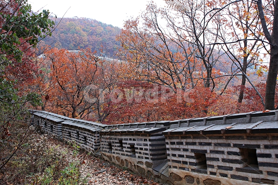 남한산성,성,성곽,단풍,낙엽,길,둘레길,담,돌담,가을,자연,풍경,벽,울긋불긋,산성,식물,가을,계절,fall,autumn,season,한국전통,한국문화,korean traditional,korean culture,nature,outdoors,옥외