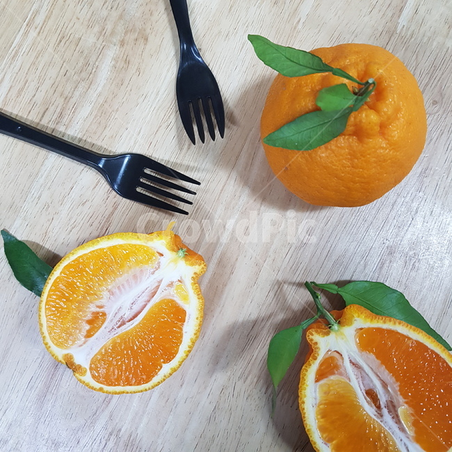 감귤류과일,과일,오렌지,citrusfruit,포크,잎,plant,식물
