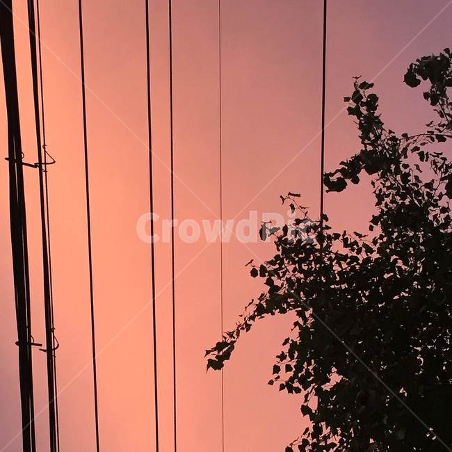 하늘,노을,전깃줄,나무,sky,sunset,electricwire,tree,evening,저녁,해질녘