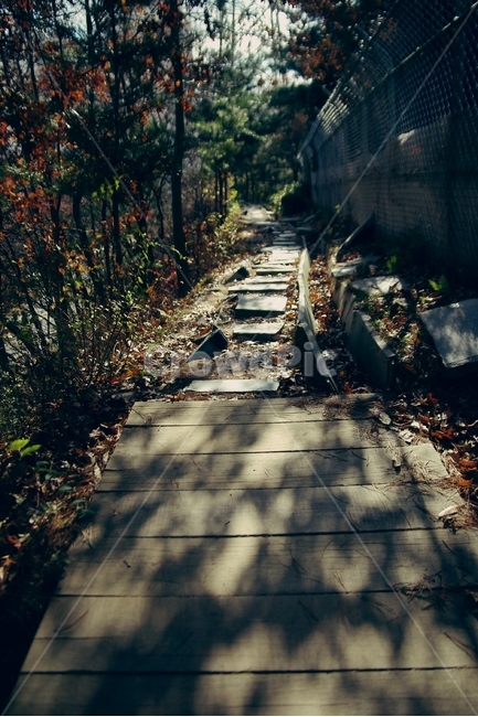 산길,산책길,가을,길,road,자연,풍경,nature,landscape