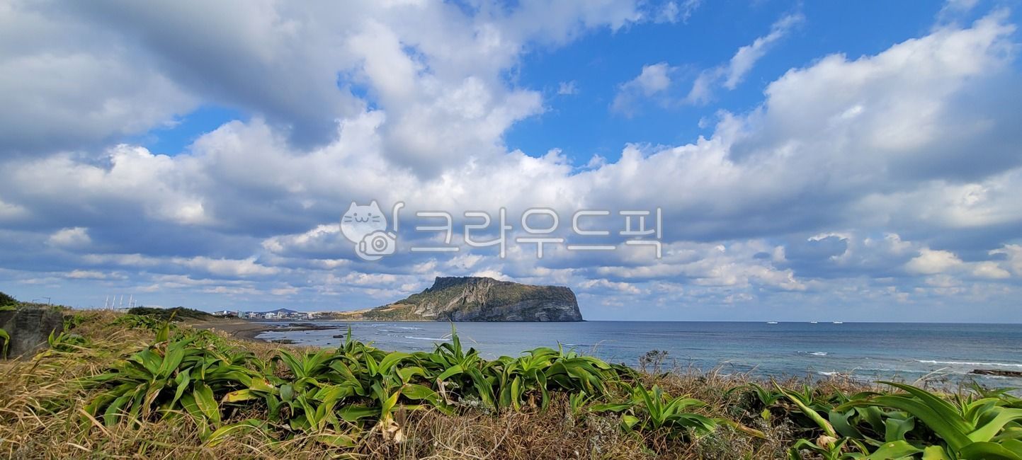 성산일출봉,광치기해변,문주란,자생식물,nature,해안선,ocean,sky,구름,멋진하늘,멋진뷰,풍경