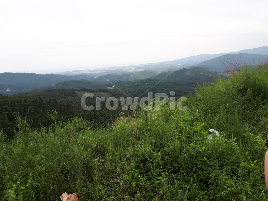 산,하늘,자연,꼭데기,정상,여름,날씨,나무