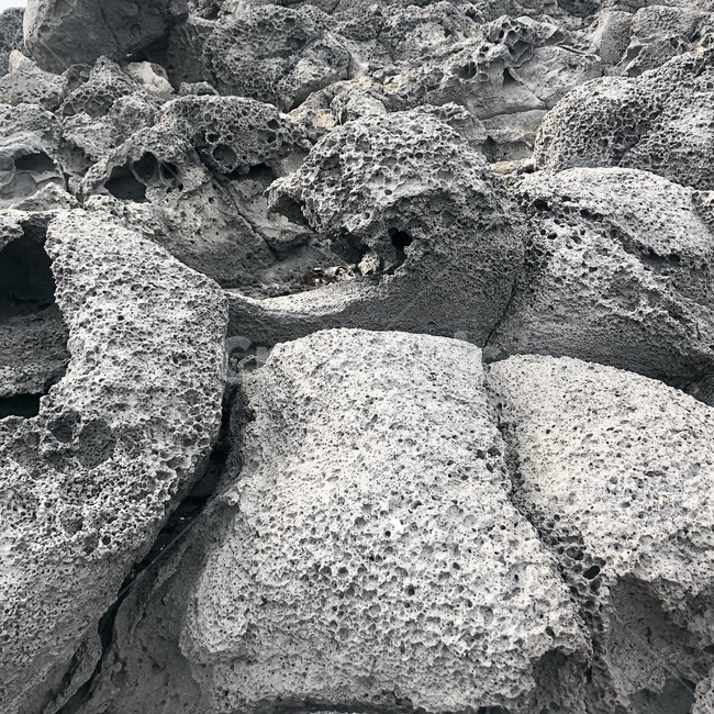 현무암,제주도,돌,바위,rock,stone,basalt,제주,검은돌,바다