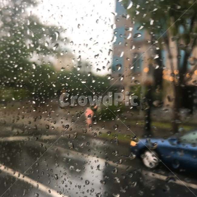비,물방울,비오는날,흐린날,도로,빗방울,rain,rainyday,gray,street,car,tree,비,비오는날,rain,rainy,텍스처,질감,패턴,texture,pattern