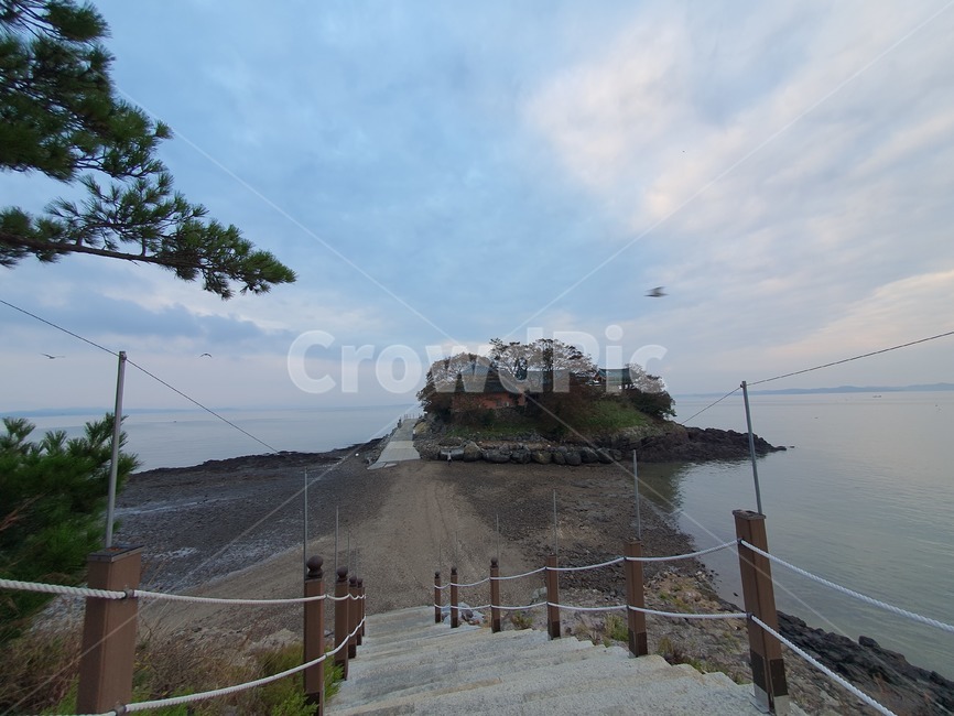 충남,서산,간월암,나무,하늘,구름,하늘색,갈매기,풍경,절,충남서산