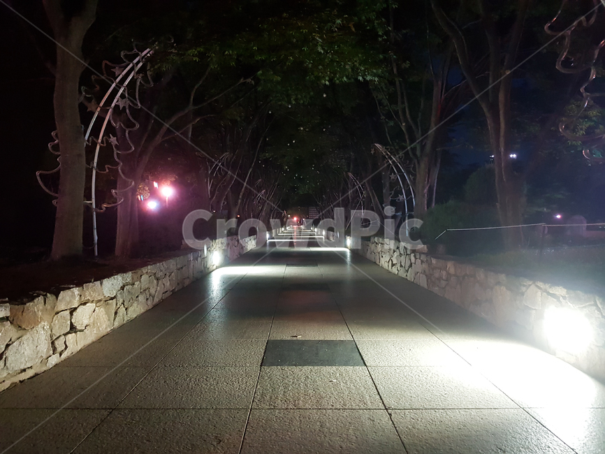 야간,야경,night,도로,road,야경,밤,풍경,nightscape,night,landscape