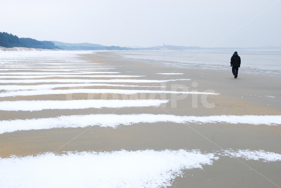 겨울바다,사람,홀로,설경,눈,겨울,나무,겨울풍경,흰눈,하얀,백색,눈부신,산행,시안,사보,카다로그,브로셔,뉴스레터,자료,출판,편집,콘텐츠,전단,느낌,잡지,광고,단행본,서적,환경,sns,포스터,홍보용,ebook,ice,winter,snow,road,길,시즌,season,야외,자연,투명한,모바일,배경,백그라운드,힐링,념,감성,필링,분위기,눈밭,추억,낭만,여행,12월,화이트,휜색,background,white,흰색,풍경,1월,고독,쓸쓸함,남자,man,alone,실루엣,겨울,계절,winter,season,자연,풍경,nature,landscape,한국자연풍경,한국자연경관,korea nature landscape,해변,바다,beach,sea,사람,인물,인간,human,person,인물실루엣,사람실루엣,character silhouette,human silhouette,고독함,외로움,쓸쓸함,우울함,슬픔,lonely,solitary