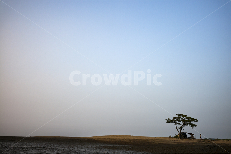풍경,바다,왕따나무,하늘,나무,자연,풍경,nature,landscape,식물,plants,나무,trees,wood,outdoors,옥외